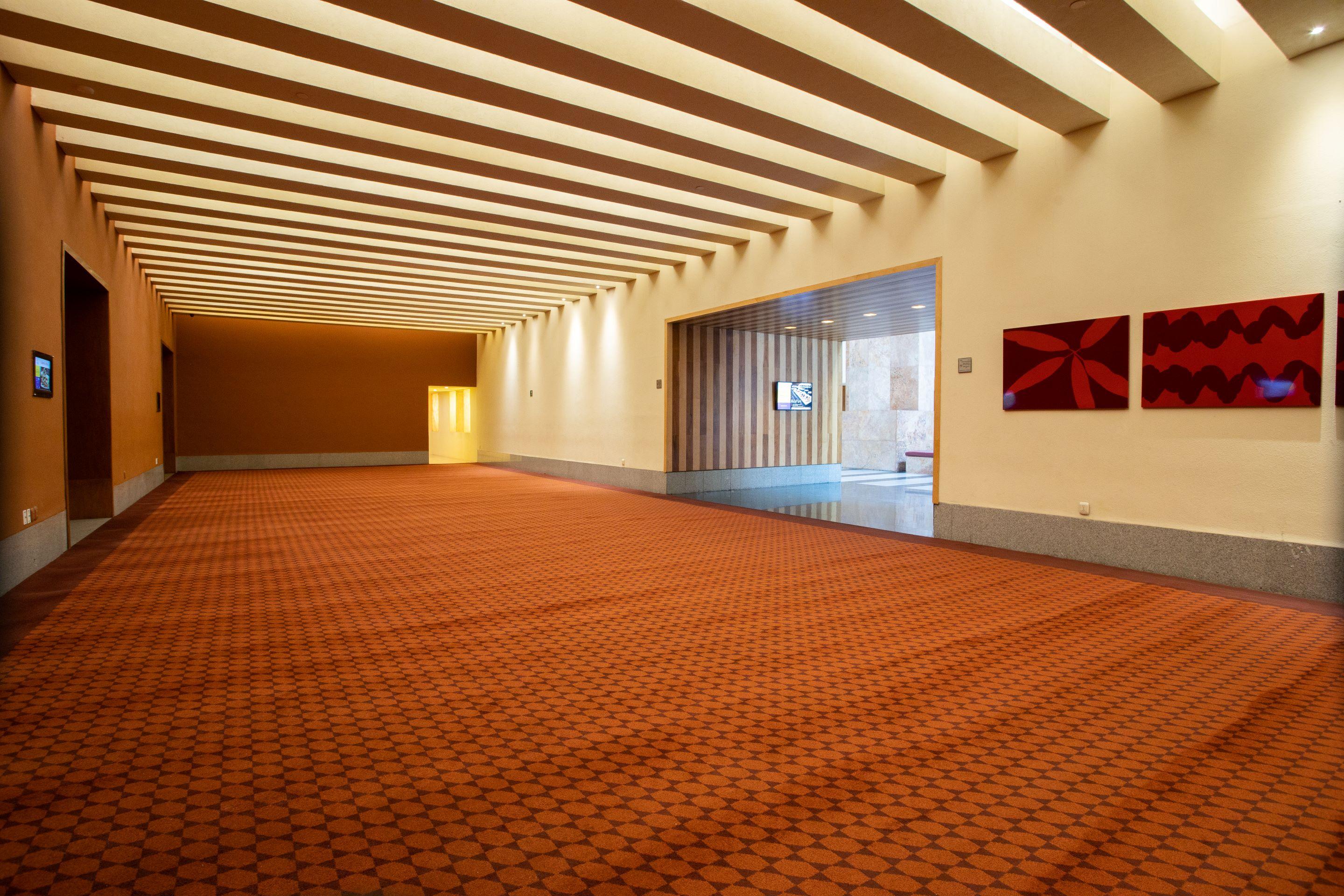 ホテル カミノ リアル モンテレー San Pedro Garza Garcia エクステリア 写真 Carpet flooring